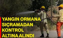 Yangın ormana sıçramadan kontrol altına alındı