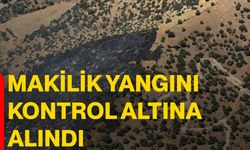 Makilik yangını kontrol altına alındı
