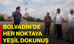Bolvadin’de her noktaya yeşil dokunuş