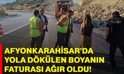Afyonkarahisar’da yola dökülen boyanın faturası ağır oldu
