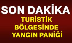 Turistik bölgesinde yangın paniği