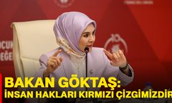 Bakan Göktaş: İnsan Hakları kırmızı çizgimizdir