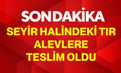 Seyir halindeki tır alevlere teslim oldu