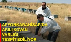 Afyonkarahisar’da arılı kovan varlığı tespit ediliyor