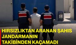 Hırsızlıktan aranan şahıs jandarmanın takibinden kaçamadı