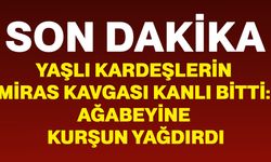 Yaşlı kardeşlerin miras kavgası kanlı bitti: Ağabeyine kurşun yağdırdı