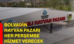 Bolvadin hayvan pazarı her Perşembe hizmet verecek