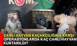 Canlı hayvan kaçakçılığına karşı operasyonlarda kaç canlı hayvan kurtarıldı?