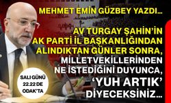 Mehmet Emin Güzbey yazdı…