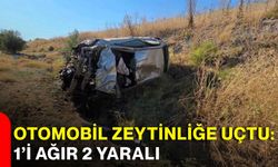 Otomobil zeytinliğe uçtu: 1’i ağır 2 yaralı
