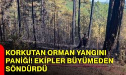 Korkutan Orman yangını paniği! Ekipler büyümeden söndürdü