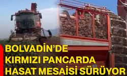 Bolvadin’de kırmızı pancarda hasat mesaisi sürüyor