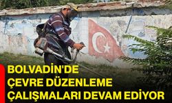 Bolvadin'de çevre düzenleme çalışmaları devam ediyor