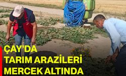 Çay’da tarım arazileri mercek altında