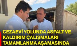Cezaevi yolunda asfalt ve kaldırım çalışmaları tamamlanma aşamasında