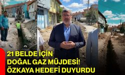 21 belde için doğal gaz müjdesi! Özkaya hedefi duyurdu