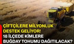 Çiftçilere milyonluk destek geliyor! 18 ilçede kimlere buğday tohumu dağıtılacak?