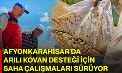 Afyonkarahisar'da arılı kovan desteği için saha çalışmaları sürüyor