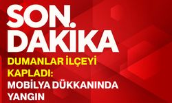 Dumanlar ilçeyi kapladı: Mobilya dükkanında yangın