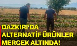 Dazkırı’da alternatif ürünler mercek altında!