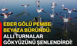 Eber Gölü pembe beyaza büründü: Allı turnalar gökyüzünü şenlendirdi!