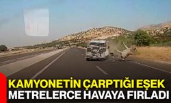 Kamyonetin çarptığı eşek metrelerce havaya fırladı