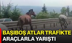 Başıboş atlar trafikte araçlarla yarıştı: Yol adeta hipodroma döndü