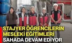 Stajyer öğrencilerin mesleki eğitimleri sahada devam ediyor