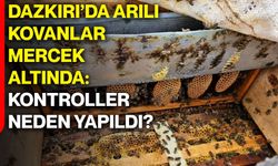 Dazkırı’da arılı kovanlar mercek altında: Kontroller neden yapıldı?