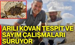 Arılı kovan tespit ve sayım çalışmaları sürüyor