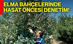 Elma bahçelerinde hasat öncesi denetim!