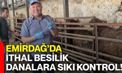 Emirdağ’da ithal besilik danalara sıkı kontrol!