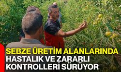 Sebze üretim alanlarında hastalık ve zararlı kontrolleri sürüyor