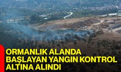 Ormanlık alanda başlayan yangın kontrol altına alındı
