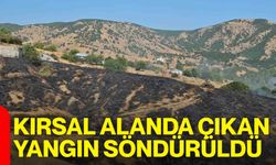 Kırsal alanda çıkan yangın söndürüldü