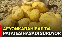 Afyonkarahisar’da patates hasadı sürüyor
