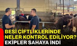 Besi çiftliklerinde neler kontrol ediliyor? Ekipler sahaya indi