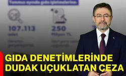 Gıda denetimlerinde dudak uçuklatan ceza