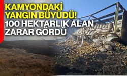 Kamyondaki yangın büyüdü! 100 hektarlık alan zarar gördü