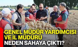 Genel Müdür Yardımcısı ve İl Müdürü neden sahaya çıktı?