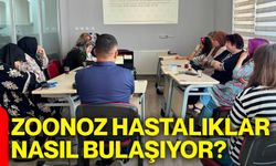 Zoonoz hastalıklar nasıl bulaşıyor?