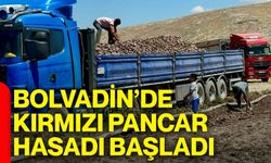 Bolvadin’de kırmızı pancar hasadı başladı