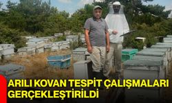 Arılı kovan tespit çalışmaları gerçekleştirildi