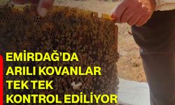 Emirdağ’da arılı kovanlar tek tek kontrol ediliyor