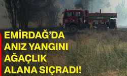 Emirdağ’da anız yangını ağaçlık alana sıçradı!