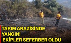 Tarım arazisinde yangın! Ekipler seferber oldu