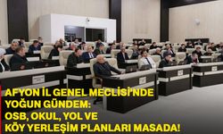 Afyon İl Genel Meclisi'nde Yoğun Gündem: OSB, Okul, Yol ve Köy Yerleşim Planları Masada