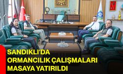 Sandıklı'da ormancılık çalışmaları masaya yatırıldı