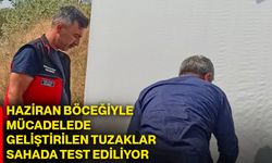 Haziran böceğiyle mücadelede geliştirilen tuzaklar sahada test ediliyor