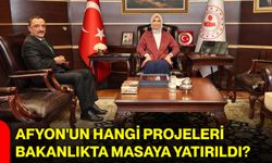 Afyon'un hangi projeleri Bakanlıkta masaya yatırıldı?